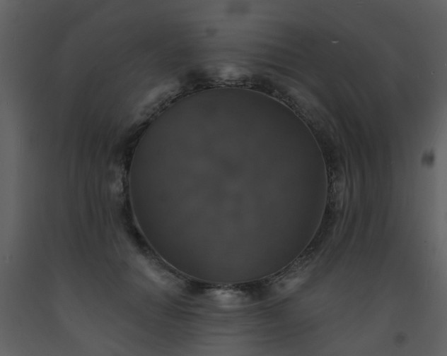 X0000093580654200710221504