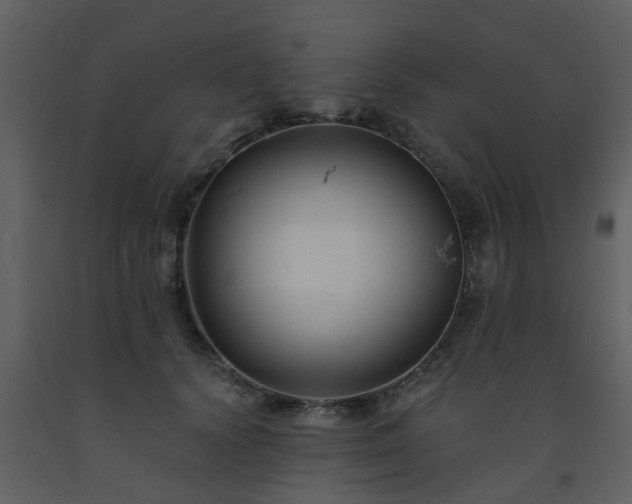 X0000093580656200710221504