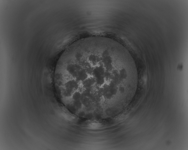 X0000093580658200710221504