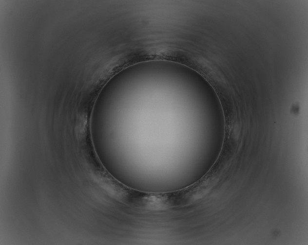 X0000093580660200710221504