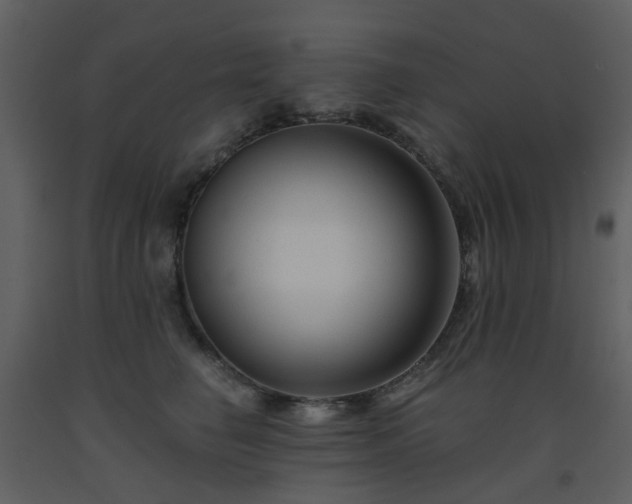X0000093580662200710221504