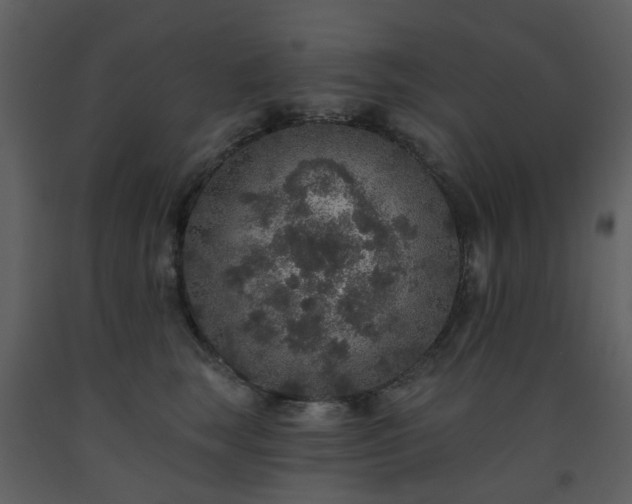 X0000093580663200710221504