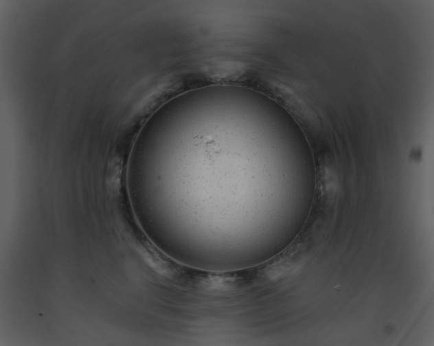 X0000093580664200710221504