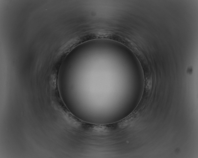 X0000093580666200710221504