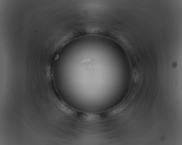 X0000093580670200710221504
