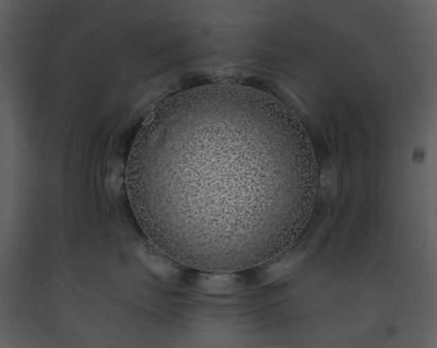 X0000093580671200710221504