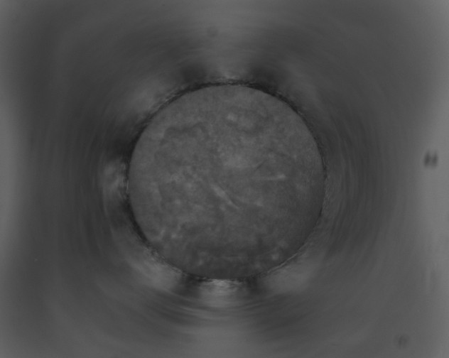 X0000093580672200710221504