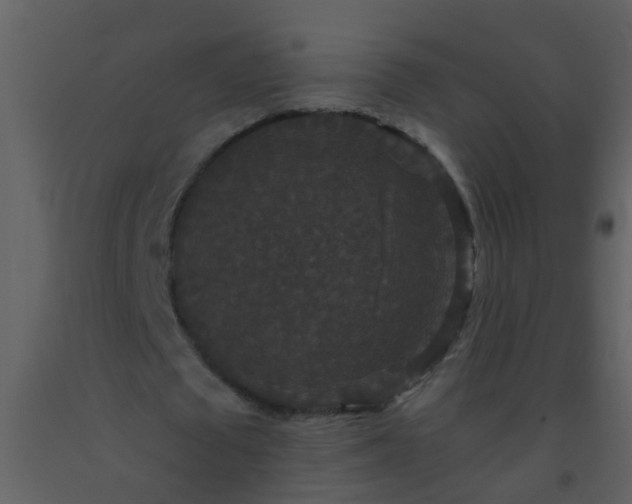 X0000093580673200710221504