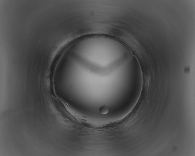 X0000093580676200710221504