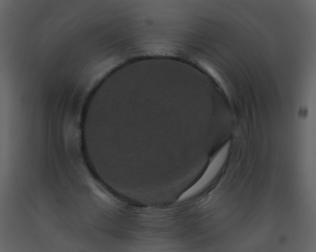 X0000093580677200710221504