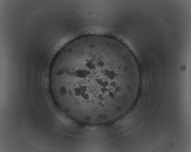 X0000093580679200710221503
