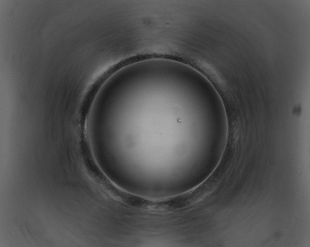X0000093580680200710221503