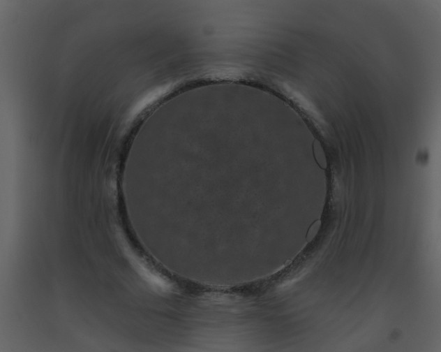 X0000093580681200710221503