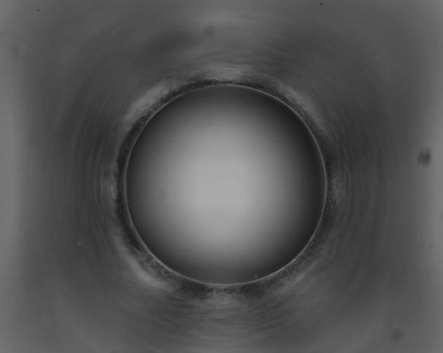 X0000093580682200710221503
