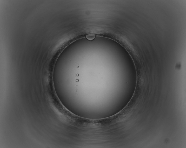 X0000093580683200710221503