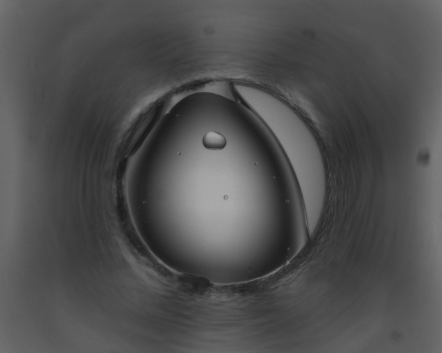 X0000093580684200710221503