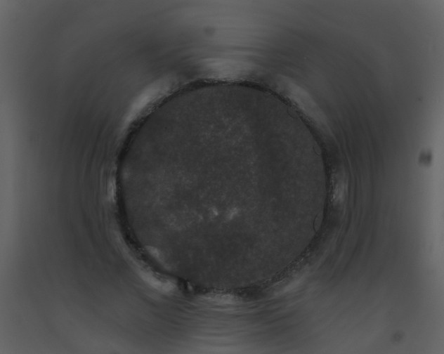X0000093580685200710221503