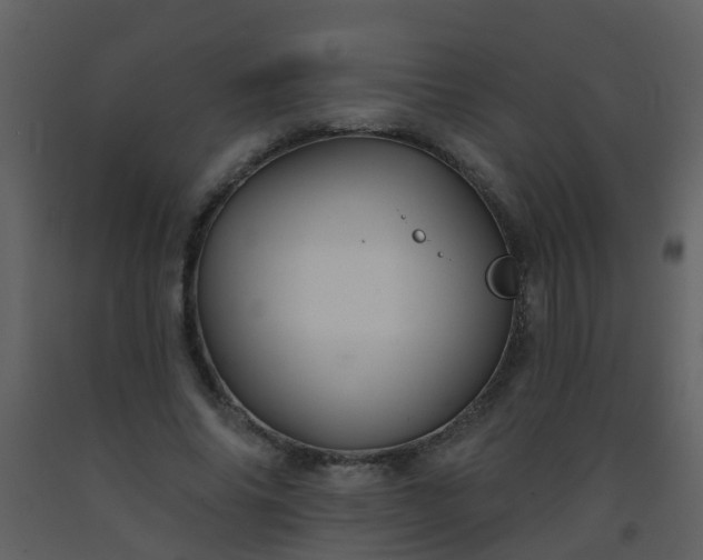 X0000093580686200710221503