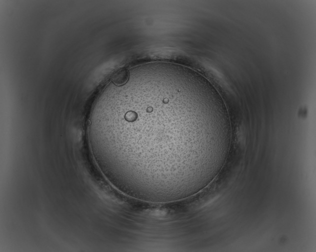 X0000093580687200710221503