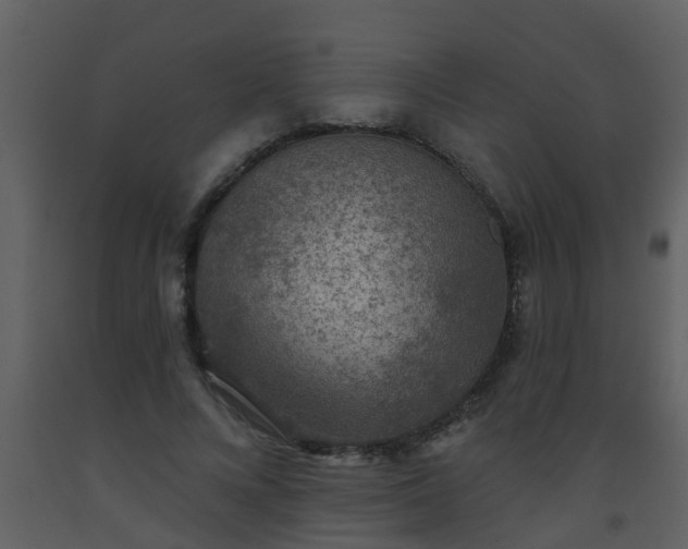 X0000093580688200710221503