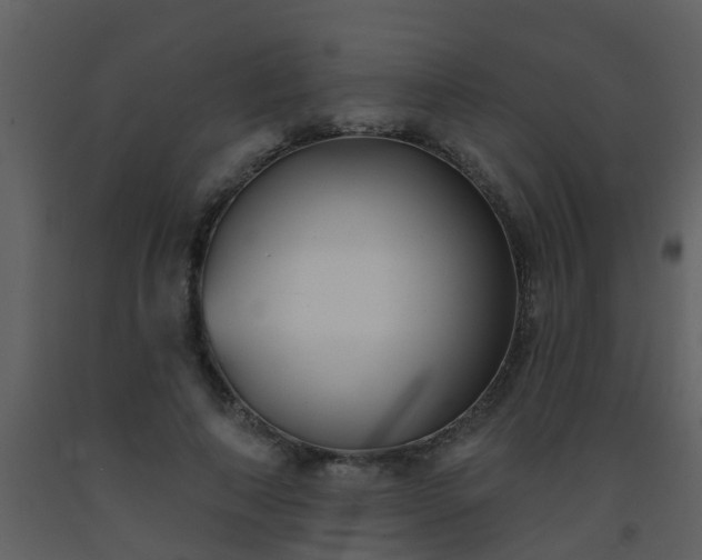 X0000093580690200710221503