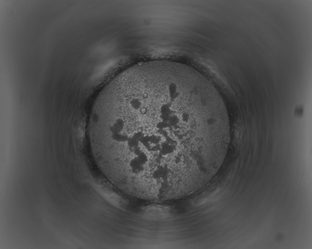 X0000093580691200710221503
