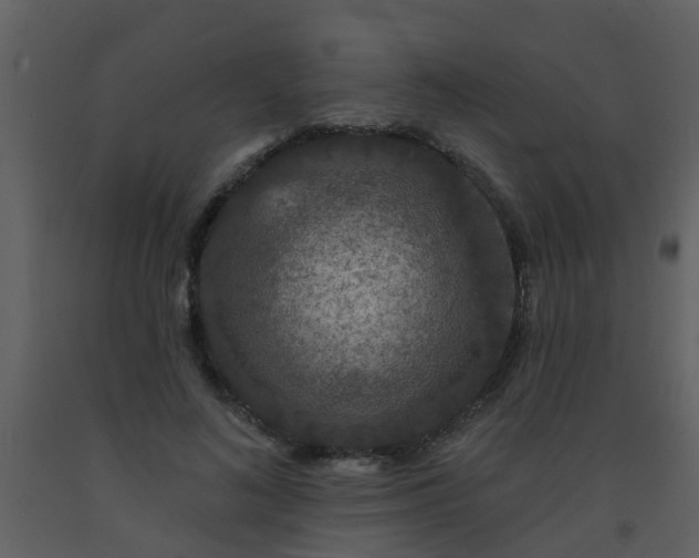 X0000093580692200710221503