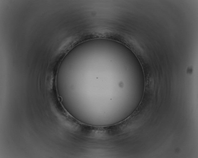 X0000093580694200710221503