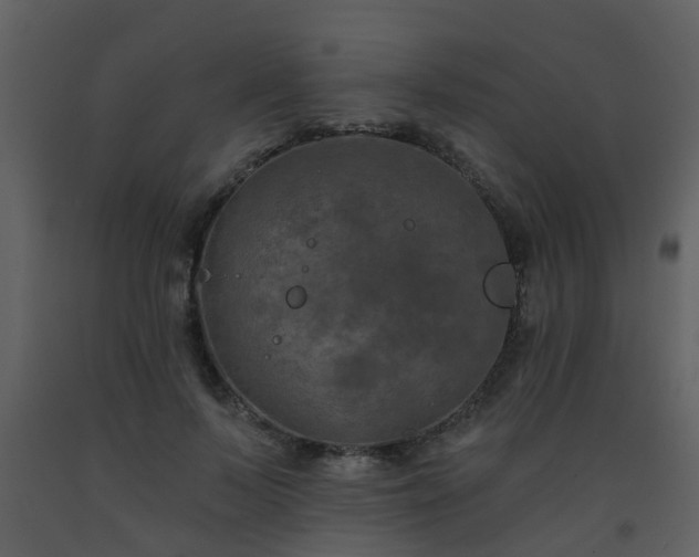 X0000093580695200710221503