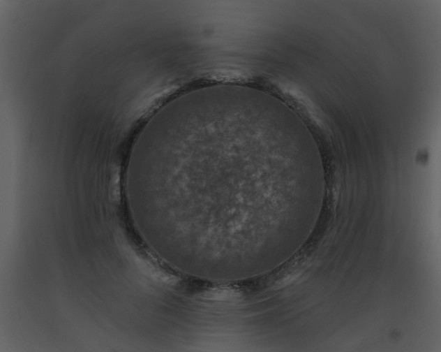 X0000093580696200710221503
