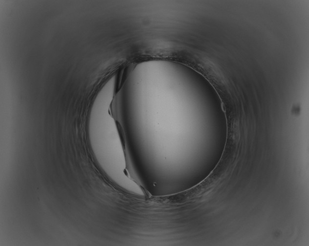 X0000093580697200710221503