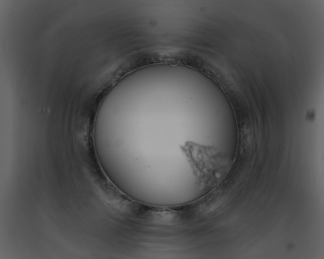 X0000093580698200710221503