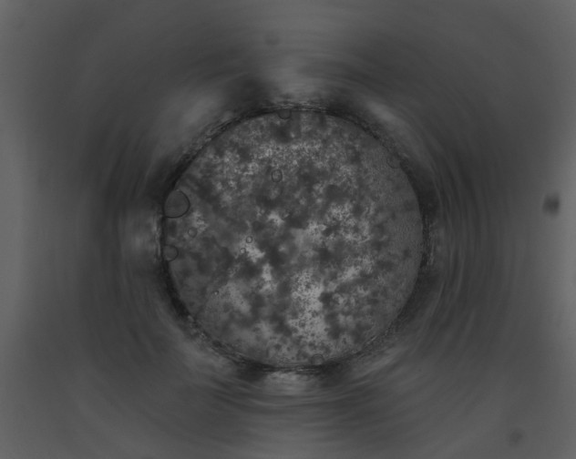 X0000093580699200710221503