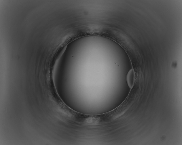 X0000093580700200710221503