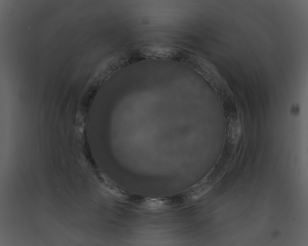 X0000093580701200710221503