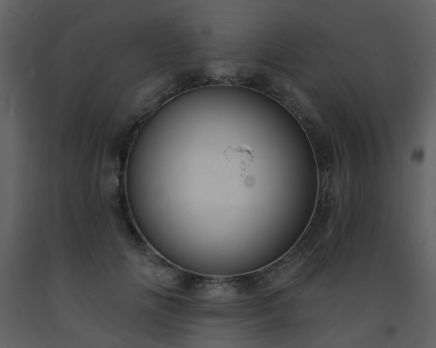 X0000093580702200710221503