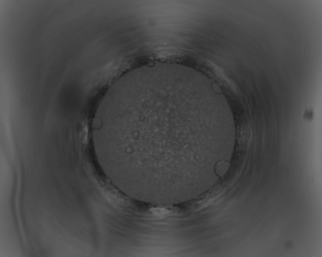 X0000093580703200710221503