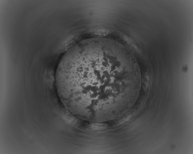 X0000093580707200710221503