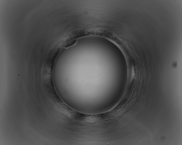 X0000093580708200710221503