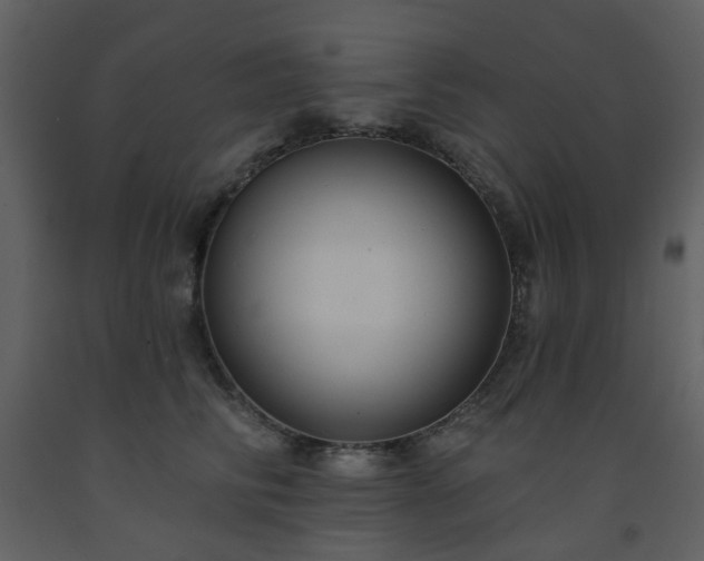 X0000093580710200710221503