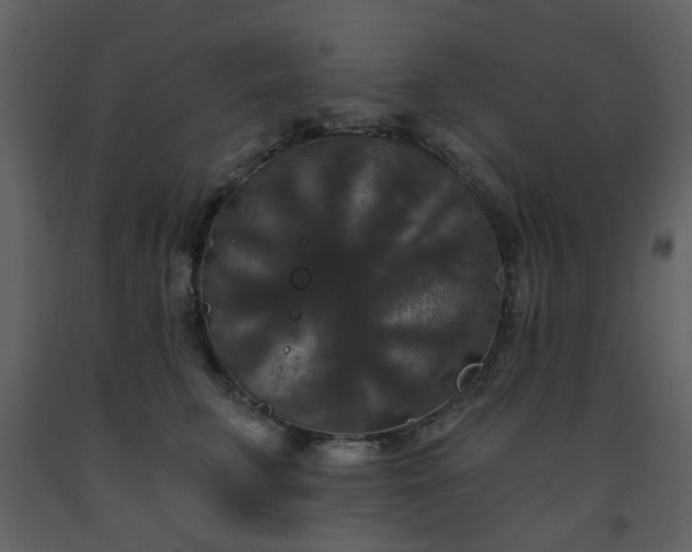 X0000093580711200710221503