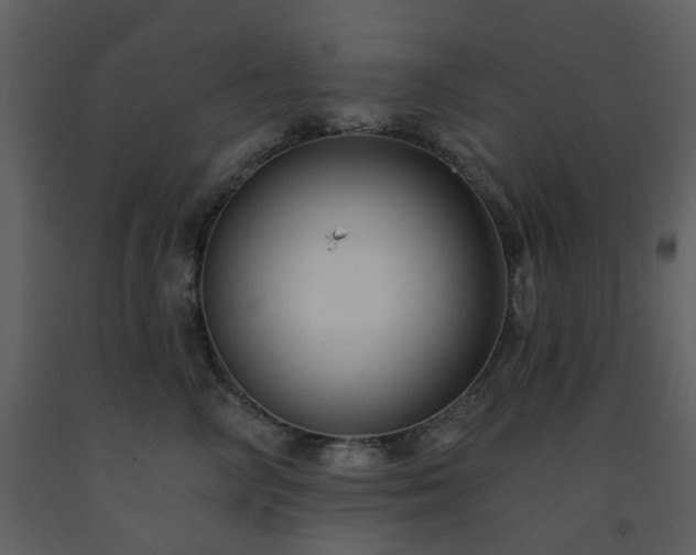 X0000093580714200710221503