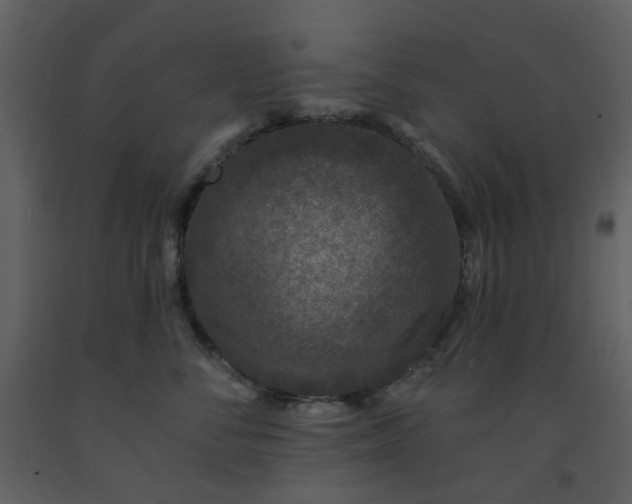X0000093580716200710221503