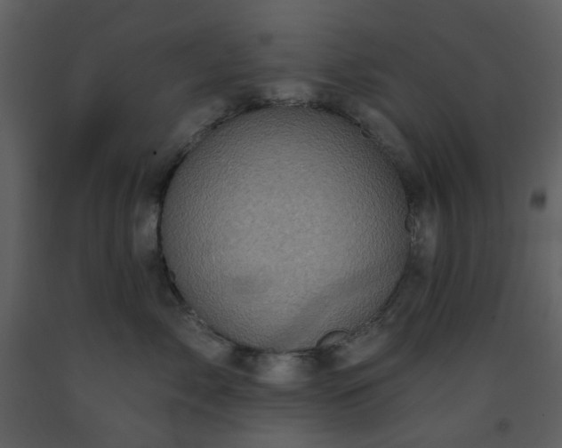 X0000093580717200710221503