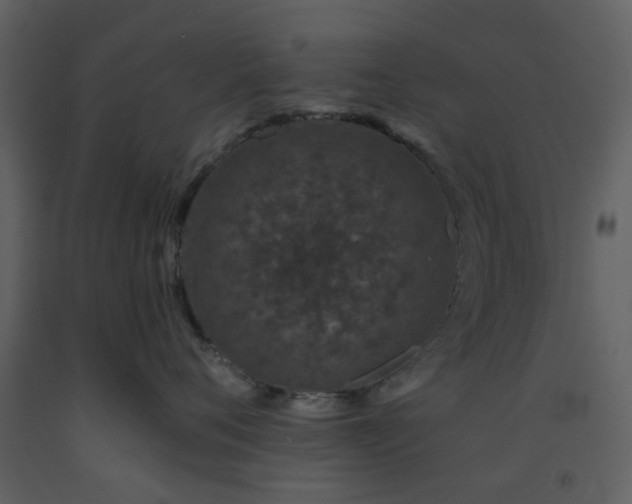 X0000093580720200710221503