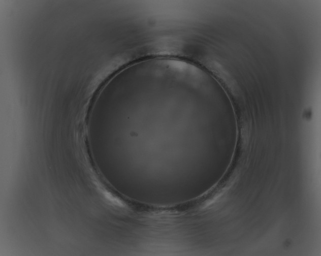 X0000093580721200710221502