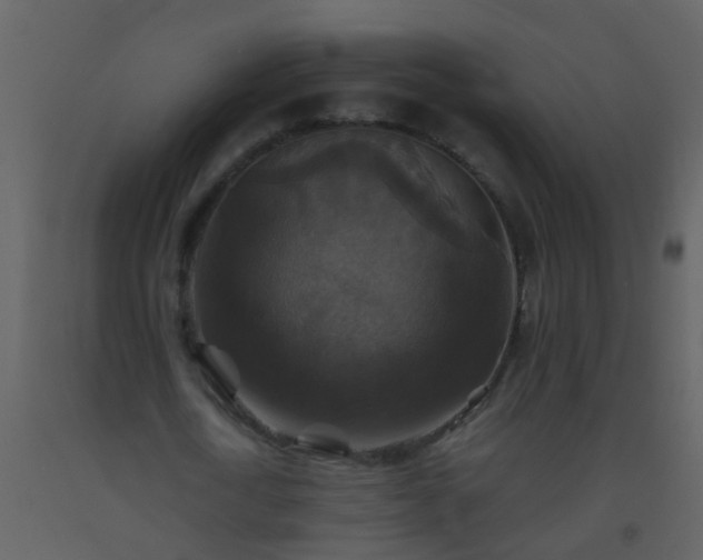 X0000093580722200710221502