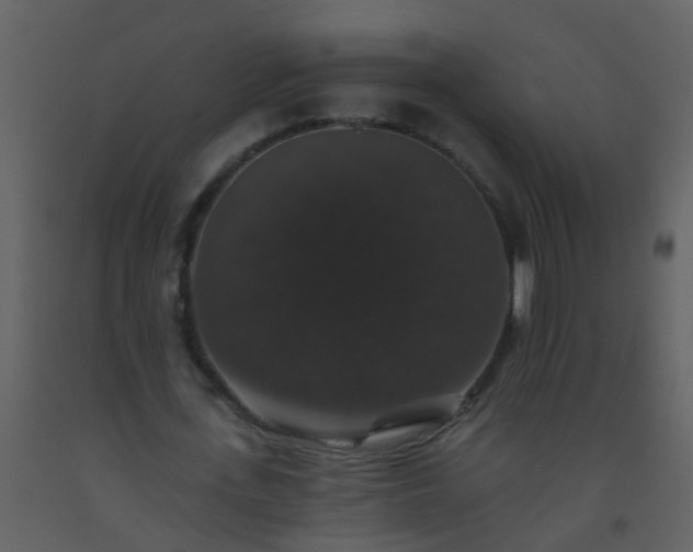 X0000093580723200710221502