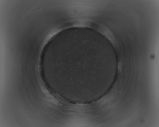 X0000093580724200710221502