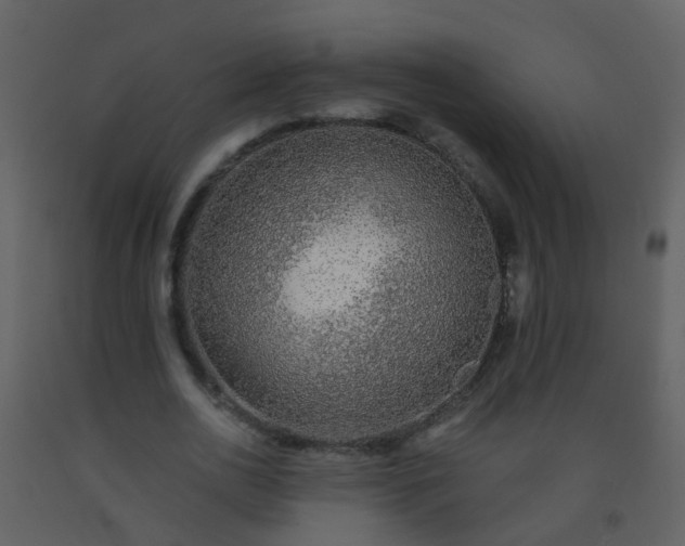 X0000093580726200710221502